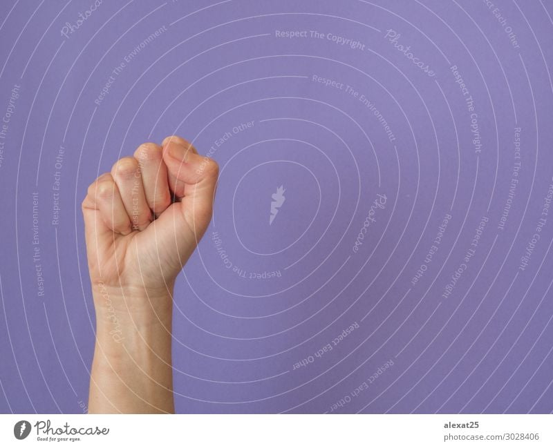 Hand with clenched fist on purple background with copy space Freedom Human being Woman Adults Arm Fingers Aggression Strong Power closed communication Communism