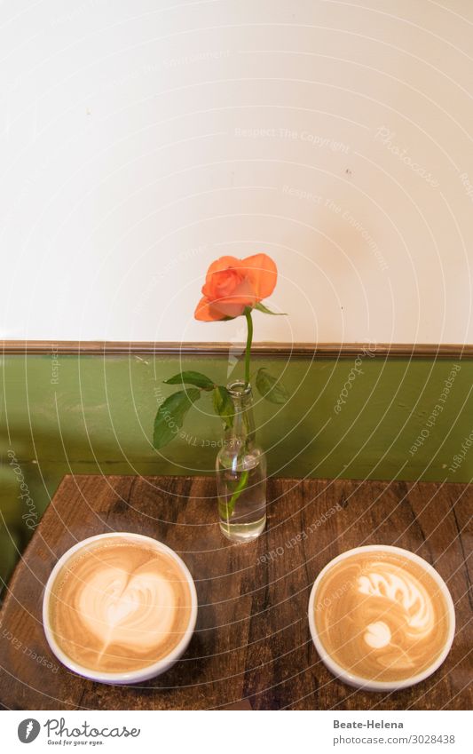 Good morning coffee Breakfast Beverage Drinking Milk Coffee Bowl Cup Lifestyle Fitness Interior design Decoration Flower Rose blossom Café Wall (barrier)
