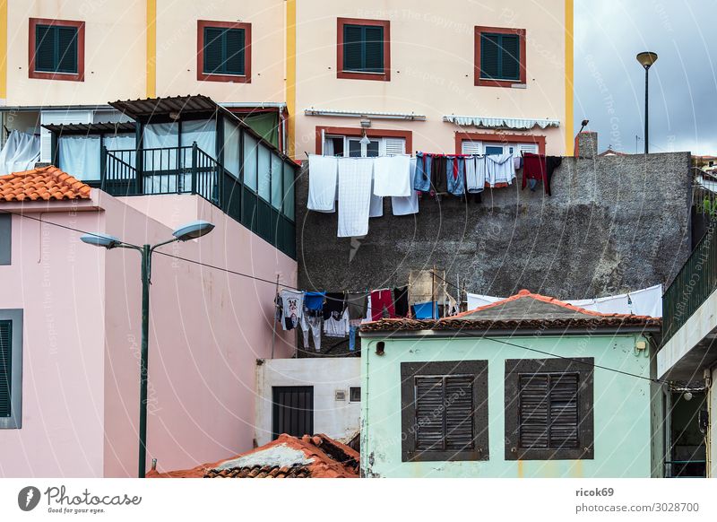 Laundry on a leash in Camara de Lobos on Madeira Island Food Relaxation Vacation & Travel Tourism House (Residential Structure) Building Architecture Underwear