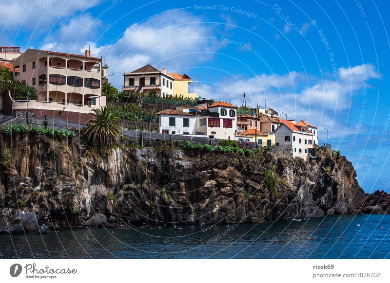 View to Camara de Lobos on the island Madeira, Portugal Relaxation Vacation & Travel Tourism Ocean Island House (Residential Structure) Nature Landscape Water