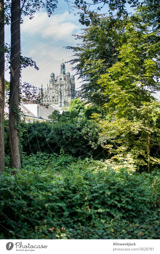 The Hertogenbosch and St. John's Cathedral Netherlands 's-hertogenbosch the bosch Forest Tree Green Nature Religion and faith Church Christianity