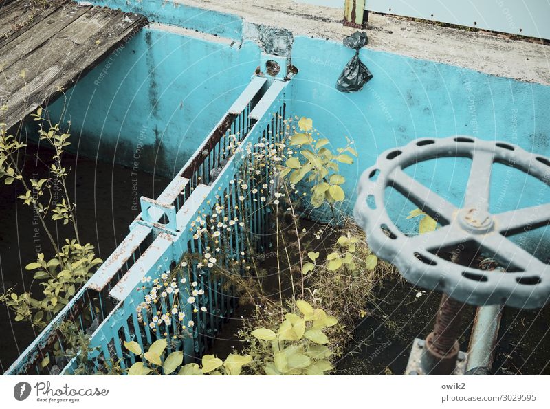 Old water reservoir Plant Bushes Tap Basin Pool border Cistern Concrete Metal Under Turquoise Decline Past Transience Loneliness Czech Republic lost places
