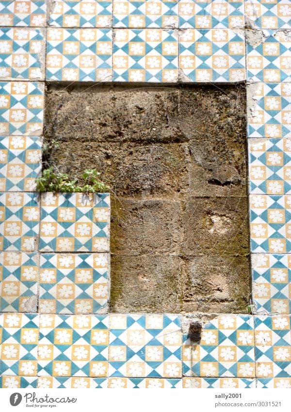 Crime Scene | Tile Theft... tiles Wall (building) Hollow Azulejo Lisbon Portugal Facade Wall (barrier) Old brittle in need of renovation loss Old town fallen