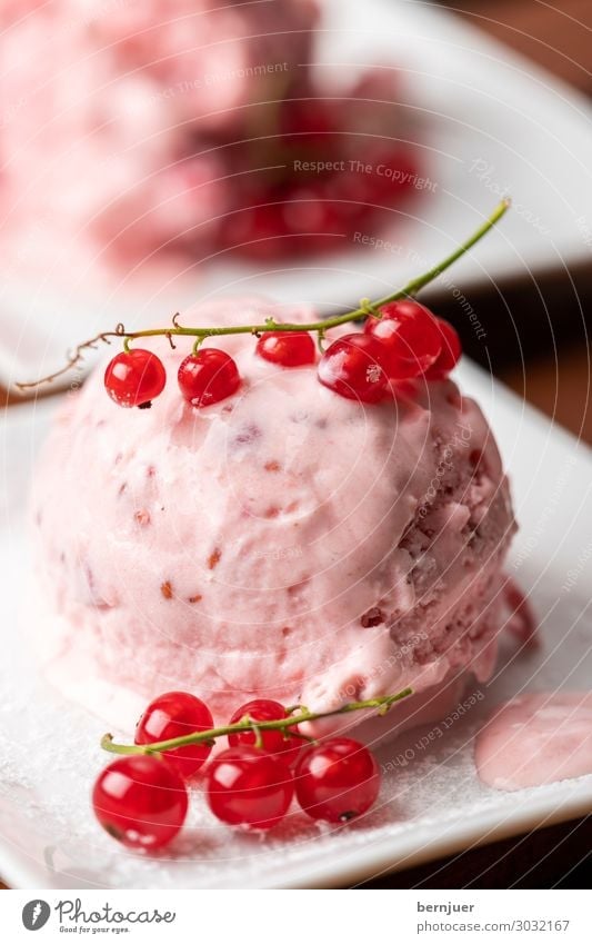 currant ice cream Yoghurt Dairy Products Fruit Dessert Ice cream Bowl Summer Restaurant Shovel Blossom Wood Sphere Fresh Cold Delicious Soft White Redcurrant