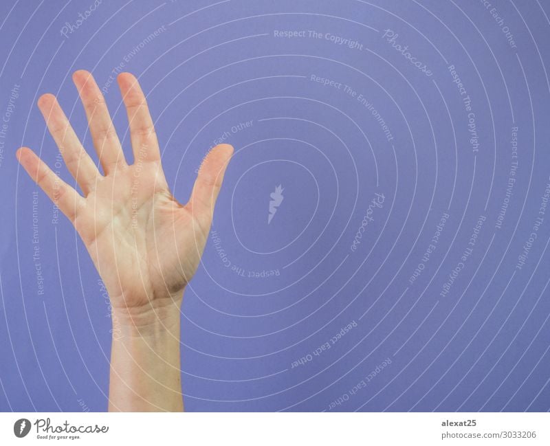 Hand with five fingers raised on purple background Success Human being Woman Adults Arm Fingers Peace 5 5th Caucasian communication Conceptual design Copy Space