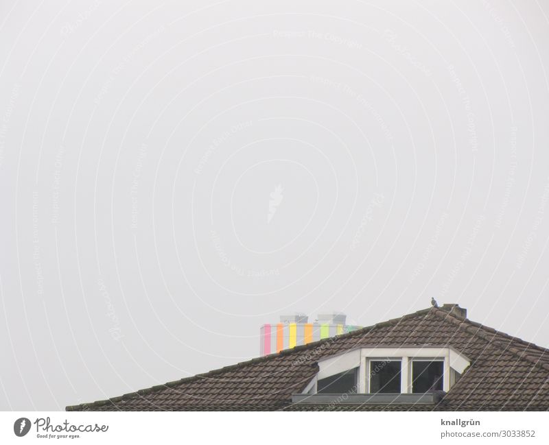 apartment with view House (Residential Structure) Roof roof loggia Animal Pigeon 1 Tall Town Multicoloured Gray Black Horizon Living or residing Penthouse