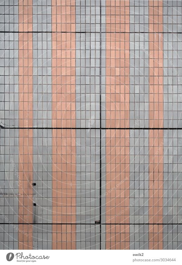 complex Schwerin House (Residential Structure) Wall (barrier) Wall (building) Facade Prefab construction Tile Glittering Large Tall Gloomy Town Gray Orange