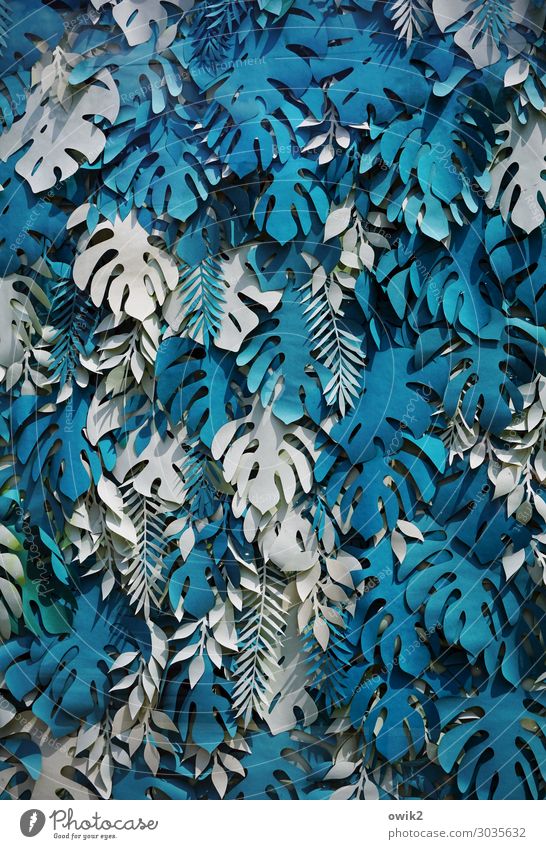 blued Monstera Leaf Exotic Replication Low-cut Paper Many Wild Blue Turquoise White Design Muddled Self-made Accumulation hotchpotch Leaf canopy Decoration