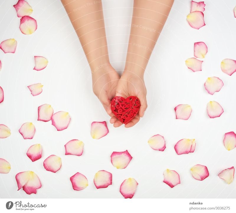female hands hold red heart, white background Beautiful Skin Life Spa Decoration Feasts & Celebrations Valentine's Day Human being Woman Adults Hand Fingers
