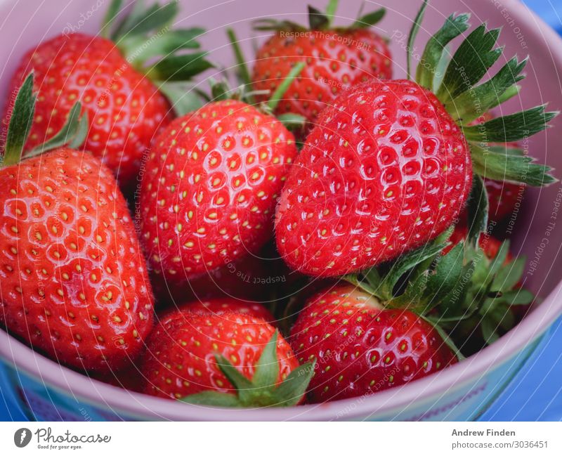 Bowl of strawberries Fruit Healthy Eating Plant Diet Fresh Delicious Juicy Red Summer Mature Colour photo Multicoloured Close-up Detail Copy Space left