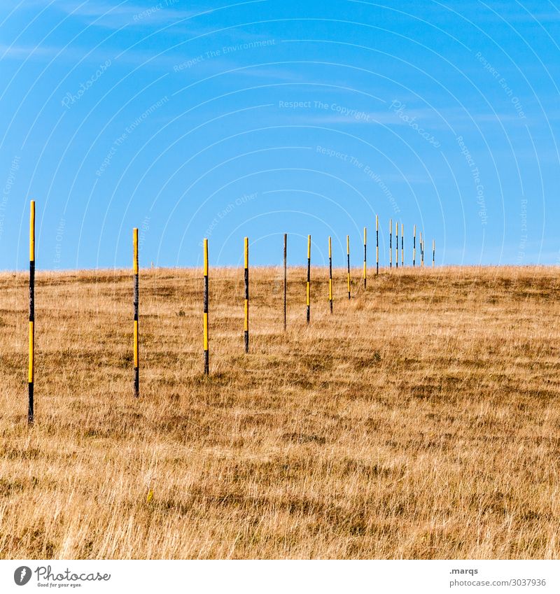 Dialed Nature Landscape Cloudless sky Autumn Meadow Mountain Black Forest mountain Wooden stake Line Row Lanes & trails Preparation Planning Boundary