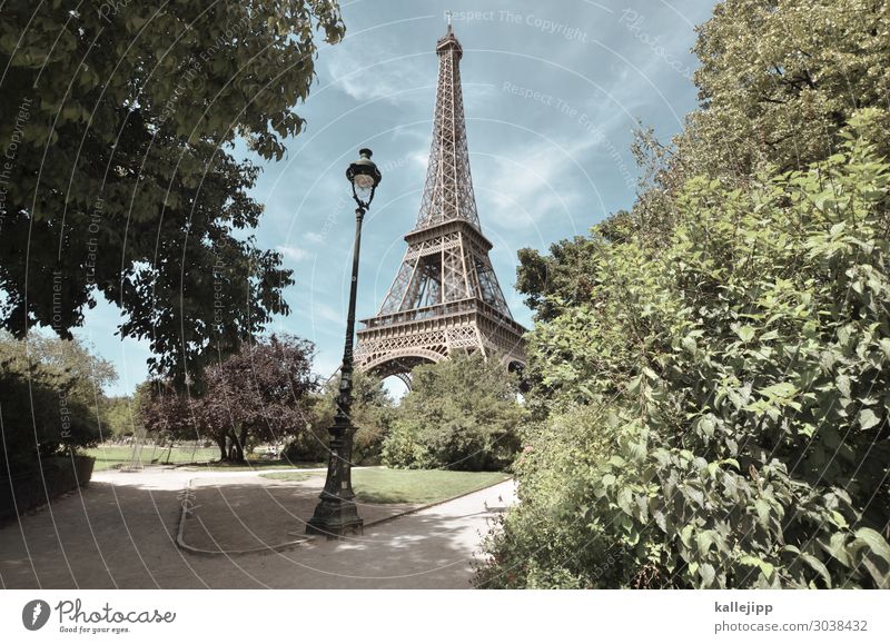 tourist magnet Vacation & Travel Tourism Sightseeing City trip Summer Summer vacation Sun Environment Nature Beautiful weather Plant Tree Eiffel Tower Point