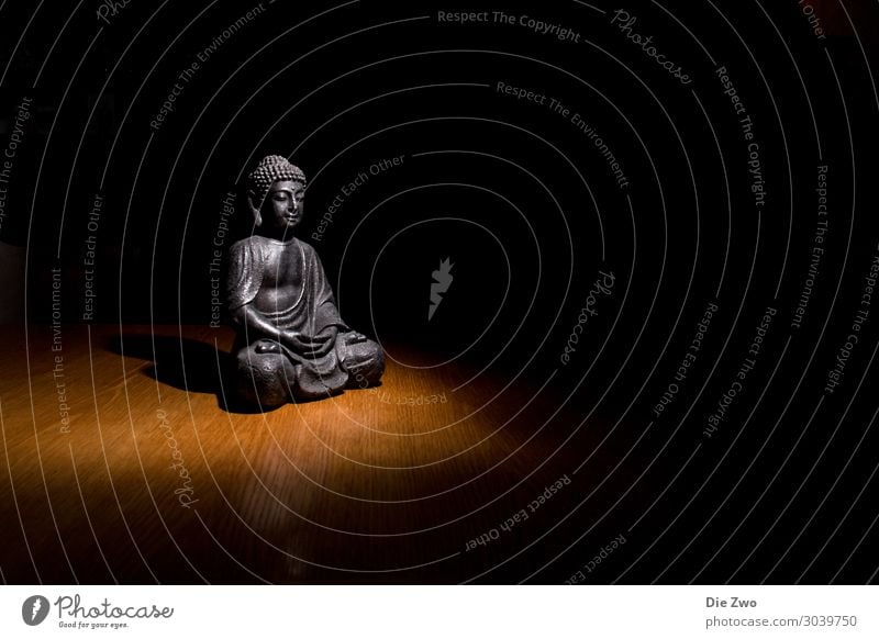 Buddha Lifestyle Style Design Relaxation Calm Meditation Decoration Acceptance Trust Safety (feeling of) Compassion Obedient Peaceful Dedication Altruism