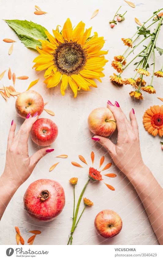 Hands holding apples on white table with sunflowers Food Apple Nutrition Style Design Woman Adults Decoration Bouquet Summer Stop Sunflower Flower Composing