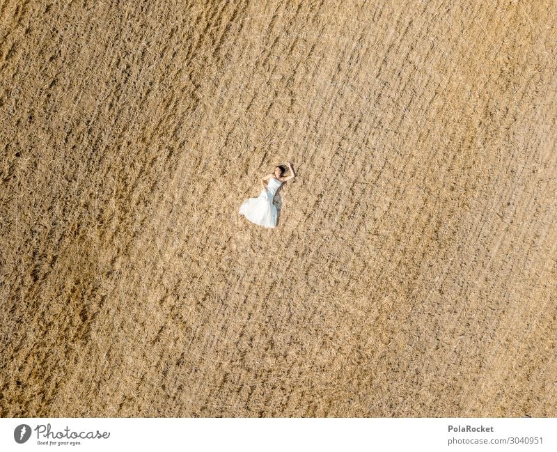 #AS# Wedding Field II Art Esthetic Landscape Doomed Bride Wedding dress Bridal veil Dress Ceremony Overpowered Forget Gloomy Empty Wedding ceremony Colour photo