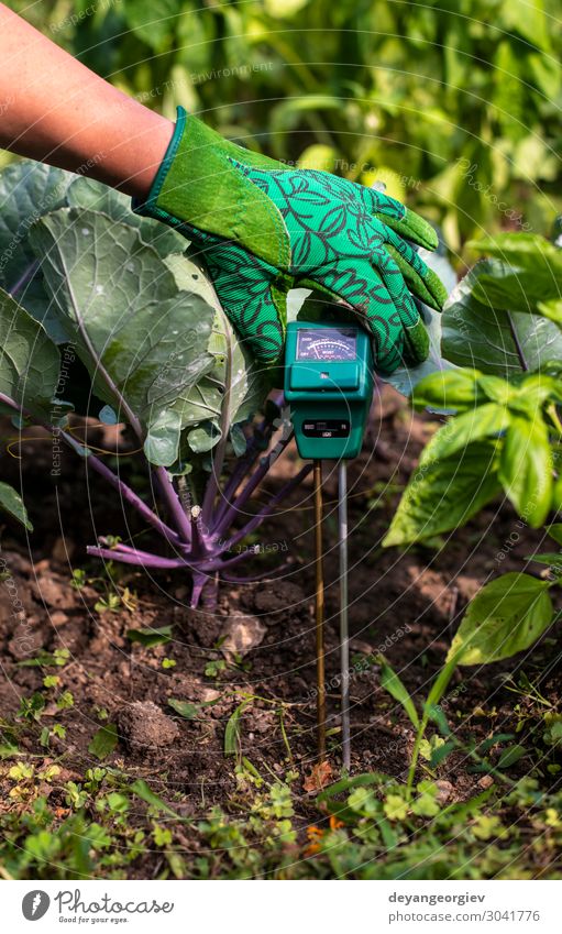 Moisture meter tester in soil. Garden Laboratory Examinations and Tests Woman Adults Hand Nature Earth Boots Green moisture HP Nitrogen scale Measure Kohlrabi
