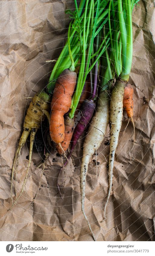 Carrots from small organic farm. Vegetable Nutrition Vegetarian diet Diet Garden Gardening Plant Earth Paper Growth Dirty Fresh Natural Green Colour Organic