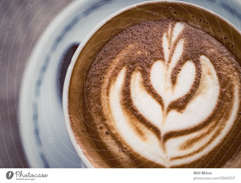 A Close-up Shot of a Cappuccino Coffee Espresso latte Beverage Drinking Hot Foam Rosette barista Near Art