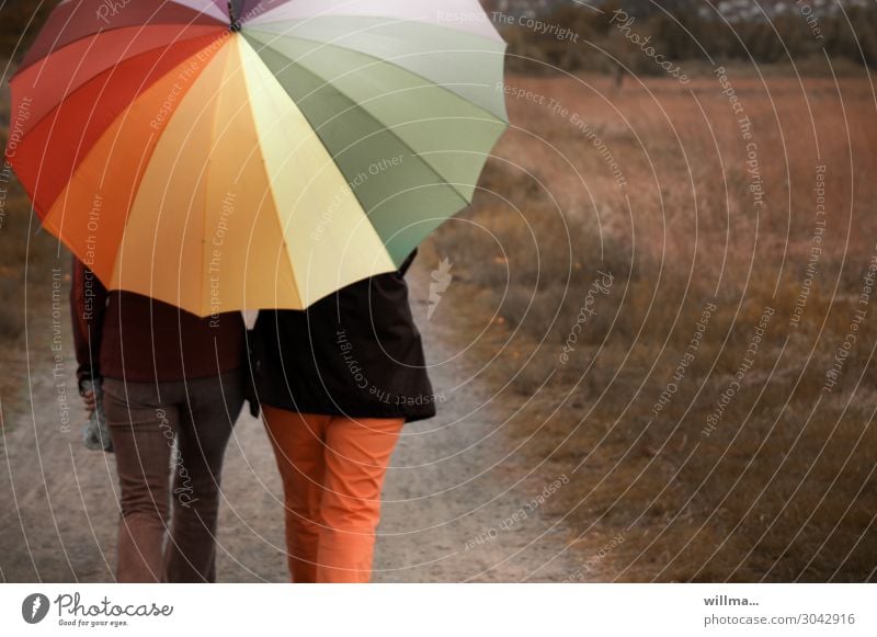 Harmony walking with a big colorful umbrella harmony people two persons Umbrella stroll Hiking Rainy weather To go for a walk Leisure and hobbies Weekend Going
