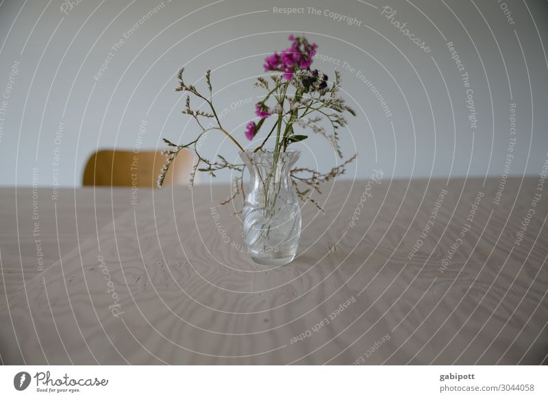 congratulations Flower Happiness Gloomy Flower vase Table Chair Empty Reduced Thrifty Colour photo Subdued colour Interior shot Deserted Day