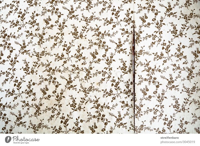 detachment - old wallpaper with flower pattern detaches from the wall Living or residing Flat (apartment) House (Residential Structure) Redecorate