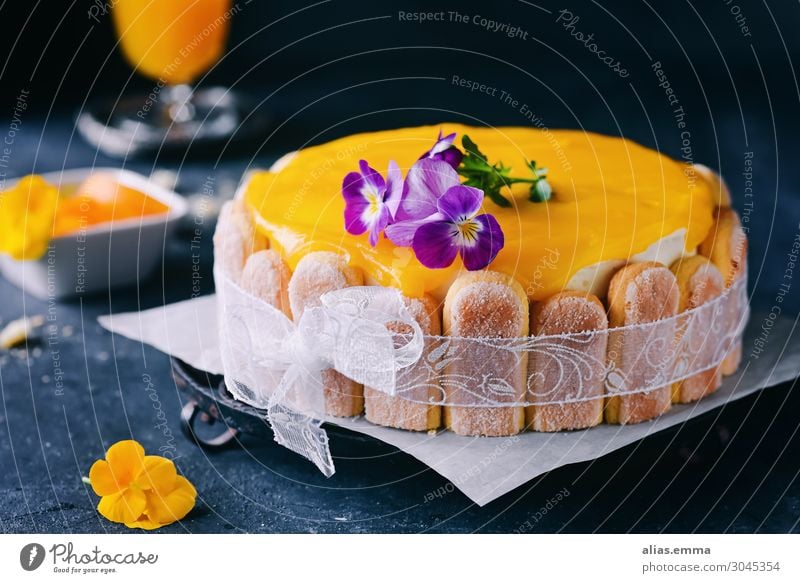 Passion fruit and peach cake on a dark background Cake Gateau Maracuja Peach Fruit flan Dark Healthy Eating Dish Food photograph Baked goods Nutrition Delicious