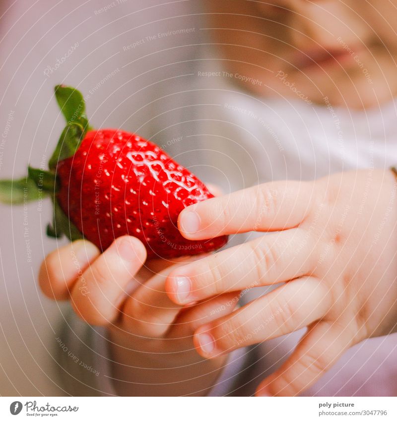 Baby hands holding strawberry Lifestyle Healthy Health care Leisure and hobbies Toddler Infancy Hand Fingers 0 - 12 months Environment Nature Spring Summer