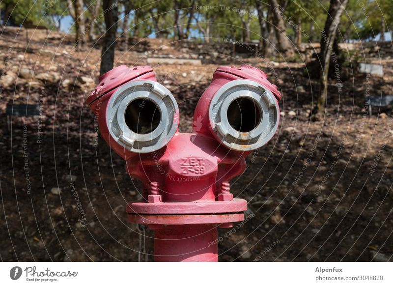 double things Fire hydrant Looking Red Fear Fear of the future Dangerous Joie de vivre (Vitality) Problem solving Fiasco Safety Whimsical Argument Surveillance