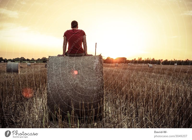 Man sits on a big bale of straw in the field at sunset and enjoys the peace and quiet and the last rays of sunshine of the day more adult Bale of straw To enjoy