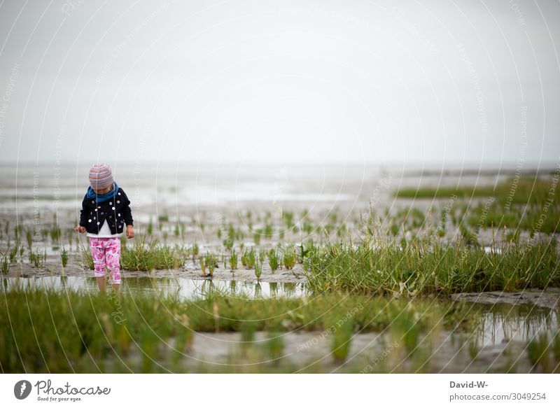 Girl stands with her feet in the water of the North Sea and makes a mudflat walk girl Child vacation mudflat hiking tour Cute Germany Observe inquisitorial