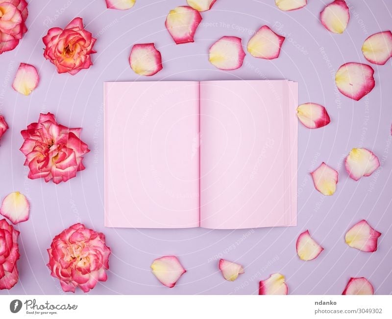 open notebook with pink blank pages Design Decoration Feasts & Celebrations Wedding Birthday Workplace Business Book Plant Flower Blossom Paper Bouquet Love