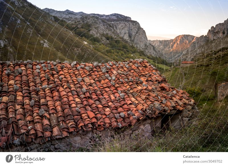 Old| A house in the mountains Roof crucible roof tiles House (Residential Structure) Hut Mountains u Gebirge Nature Sky Landscape Grass Green Environment Orange