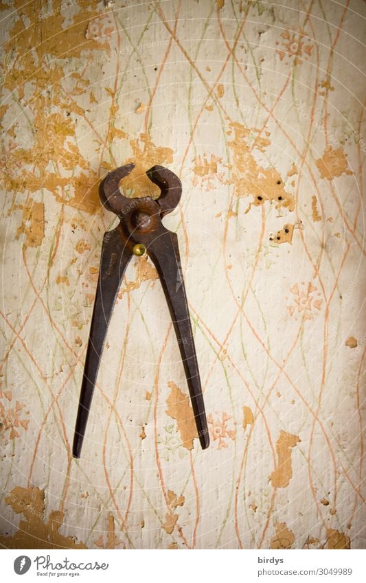 Old Pincers Craftsperson Wall (barrier) Wall (building) Tool Metal Hang Authentic Original Retro Brown Gray White Discover Nostalgia Quality Stagnating Innocent