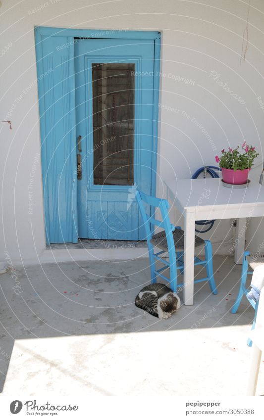 greece Vacation & Travel Tourism Living or residing Flat (apartment) House (Residential Structure) Chair Table Fishing village Wall (barrier) Wall (building)