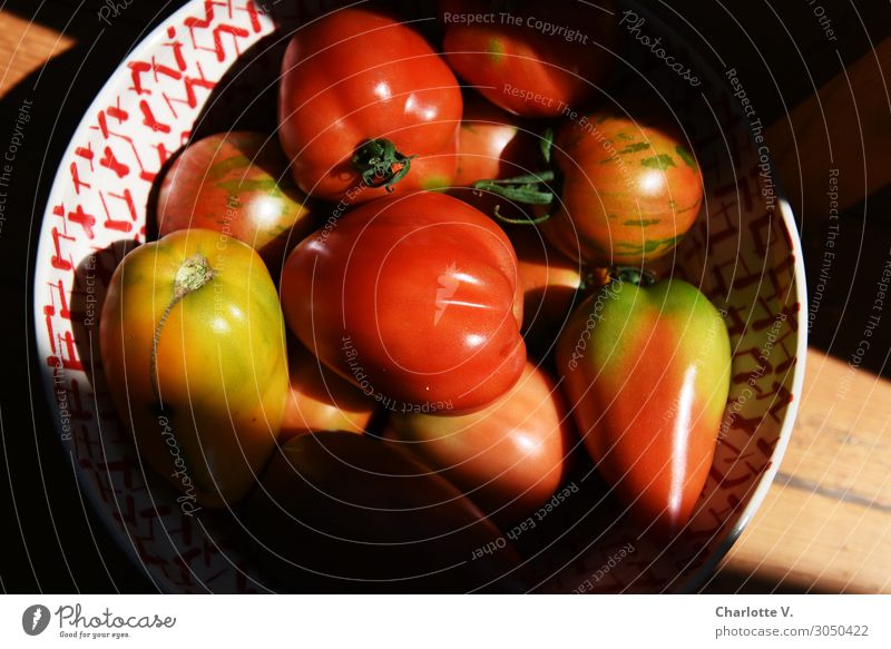 Tomatoes in a bowl Nature Shopping Eating Healthy Sustainability Colour photo Interior shot Deserted