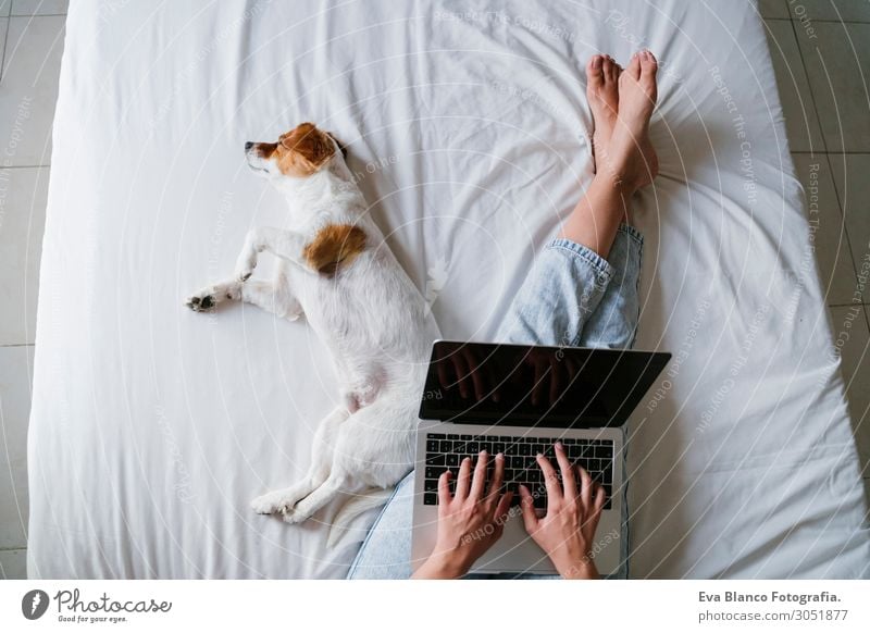 young woman on bed working on laptop.Cute small dog besides Lifestyle Joy Happy Beautiful Relaxation Leisure and hobbies Playing Bed Computer Notebook