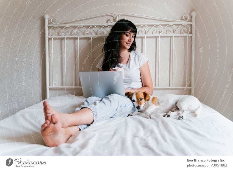 young woman on bed working on laptop.Cute small dog besides Lifestyle Joy Happy Beautiful Relaxation Leisure and hobbies Playing Vacation & Travel Bed Computer