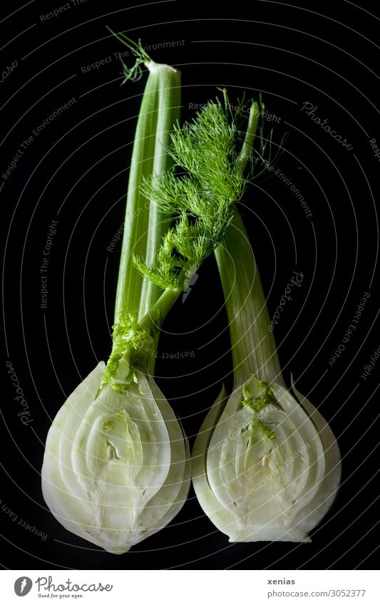 Fennel, two halves against a black background Vegetable Nutrition Organic produce Vegetarian diet Healthy Eating Fresh Delicious Green Black White cleaved Cut