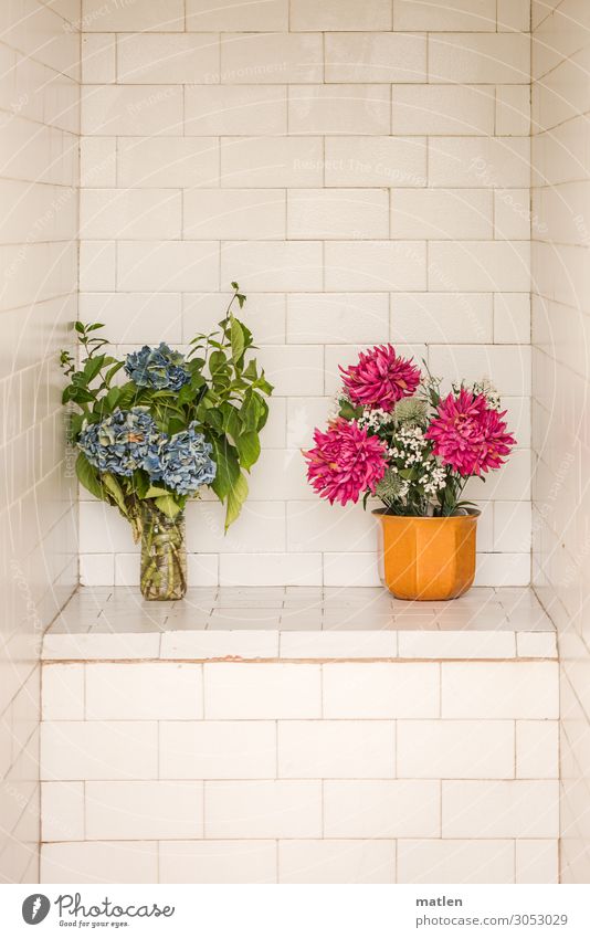 flower decoration Plant Summer Flower Deserted Wall (barrier) Wall (building) Blossoming Blue Green Pink White Tile Contrast Vase Bouquet Tomb Colour photo