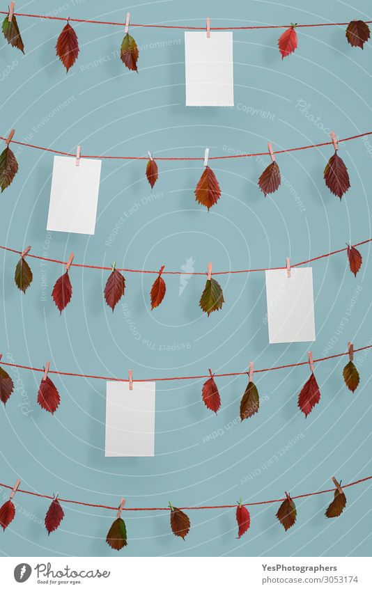 Autumn leaves and blank paper sheets on string Rope Nature Plant Leaf Ornament Retro Red Arrangement November October background Blank blue wall Clothesline