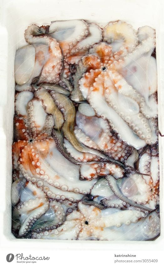 Fresh octopuses in a box at fish market Seafood Nutrition Ocean Octopus fishmonger Raw fishing Mediterranean sea eat Gourmet Ingredients Italy local Fish market