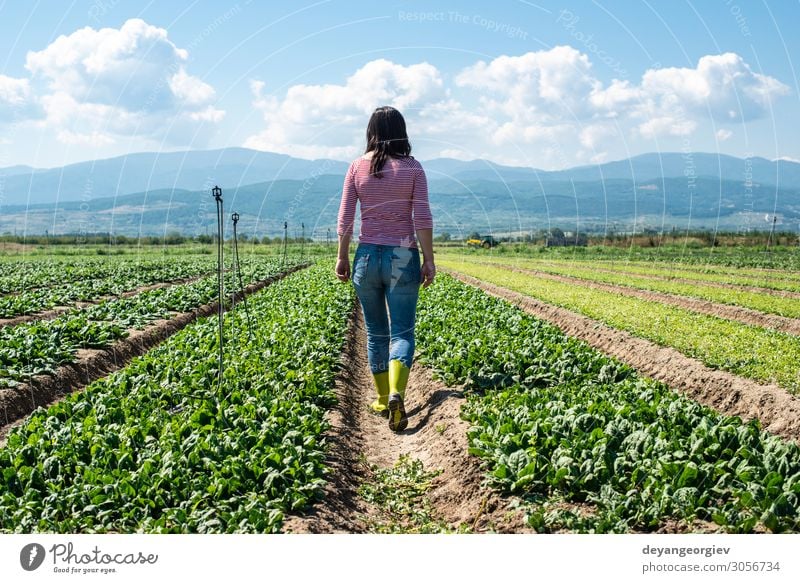 Woman with green boots walking on spinach field. Vegetable Vegetarian diet Diet Garden Adults Environment Plant Leaf Growth Fresh Natural Green Spinach Farmer