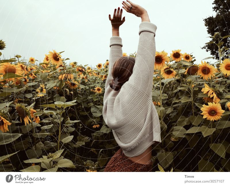 Woman in the sunflower field Life Well-being Senses Summer Feminine Young woman Youth (Young adults) Adults 1 Human being 18 - 30 years Nature Plant