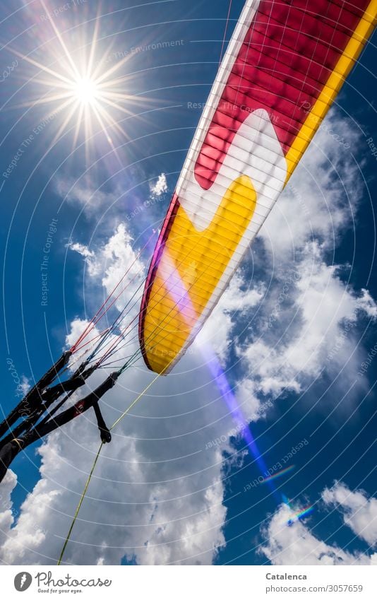 High altitude flight, sun blue sky, clouds and the colorful paraglider Joy Happy Leisure and hobbies Paragliding Air Sky only Clouds Sun Sunlight Summer