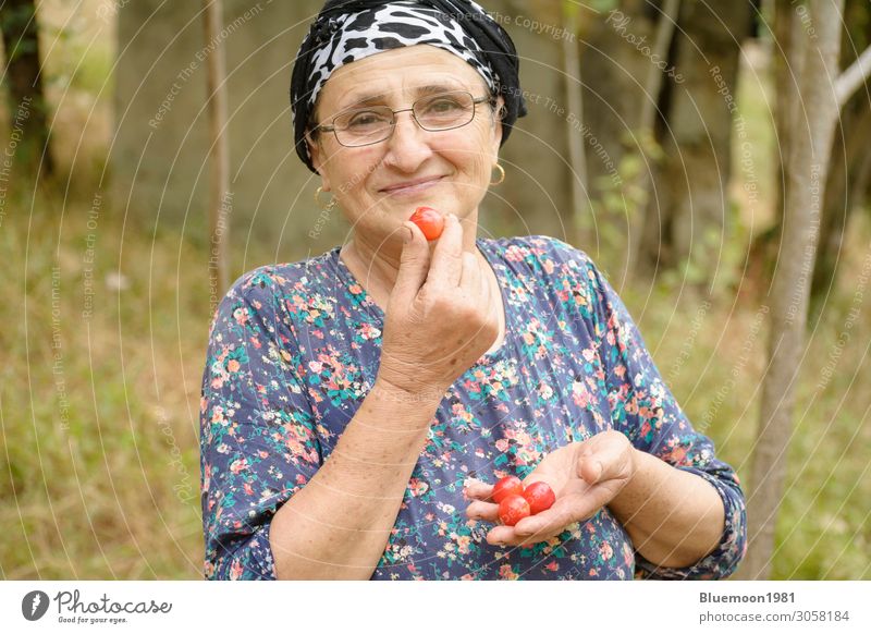Happy senior woman portrait with plums at hand Fruit Nutrition Eating Vegetarian diet Lifestyle Skin Summer Garden Human being Feminine Woman Hand 1