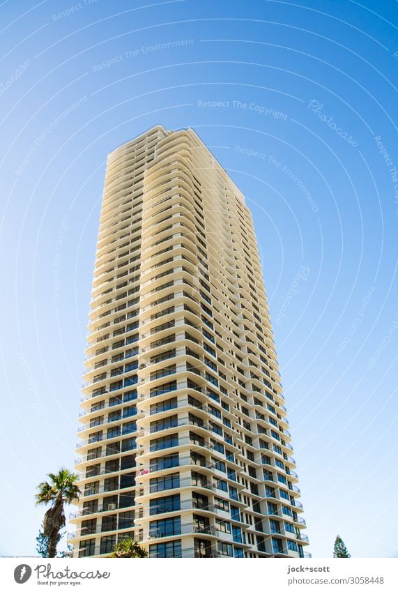 high rise great views Luxury Cloudless sky Palm tree High-rise Building Facade Authentic Sharp-edged Tall Long Modern Style Symmetry Growth Shadow Story