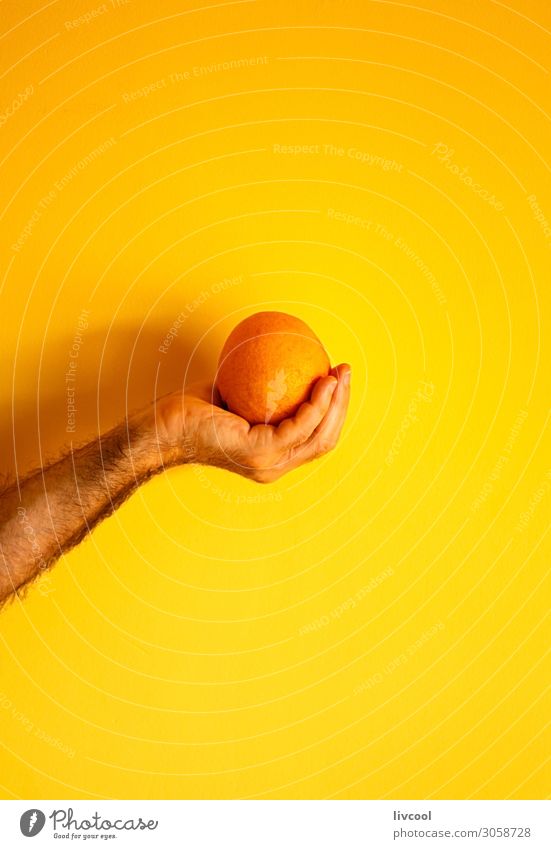 orange in hand on yellow wall Fruit Lifestyle Design Human being Man Adults Arm Hand Fingers Nature To enjoy Fresh Yellow Colour people Illustration conceptual