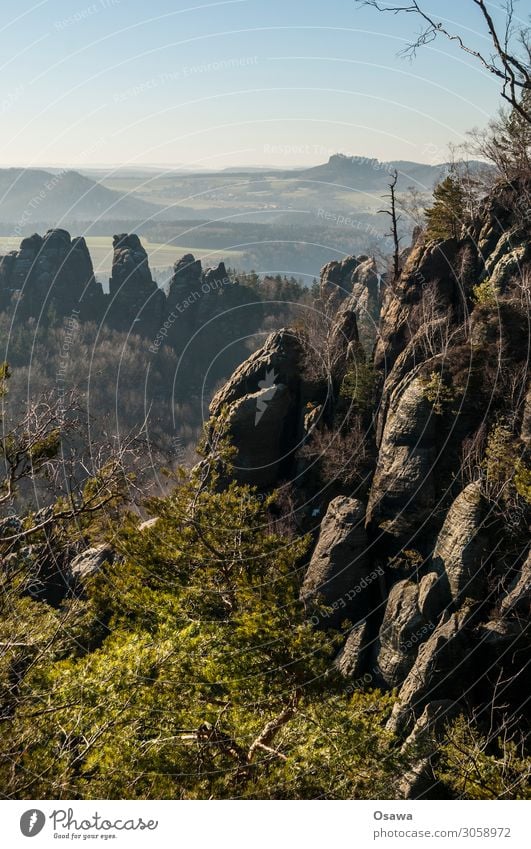 Saxon Switzerland Landscape Mountain Rock Nature Highlands Rock formation Forest Tree Elbsandstone mountains Saxony Hiking Climbing Mountaineering