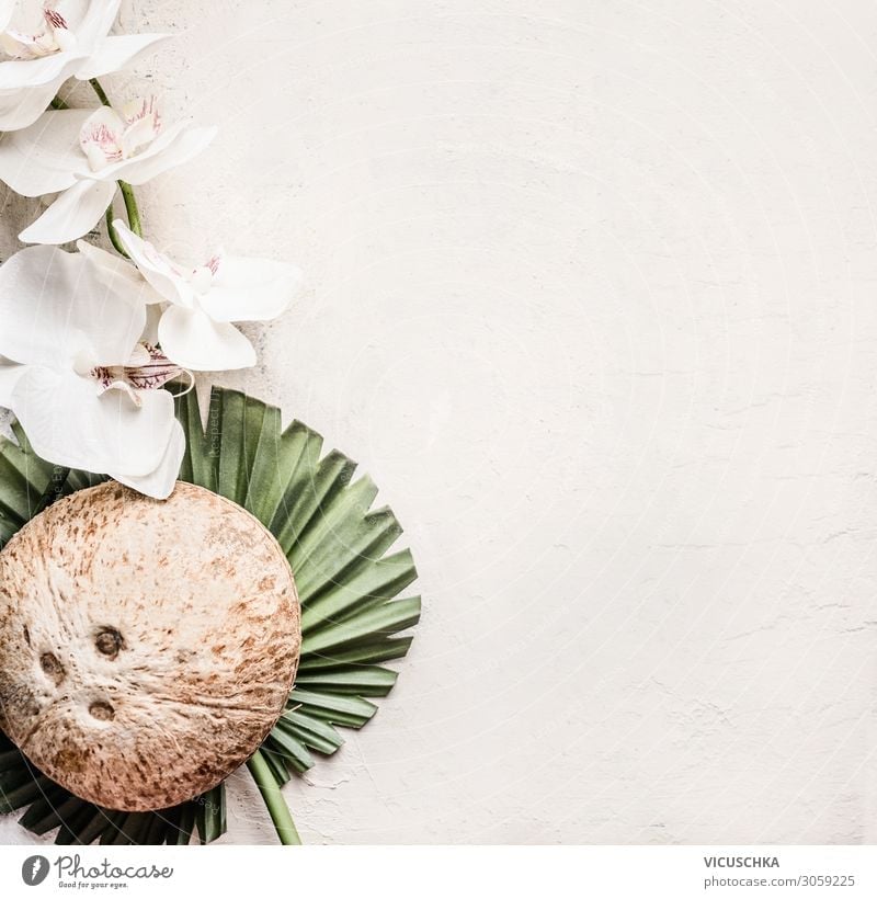 Whole coconut on tropical leaves with flowers Style Design Beautiful Healthy Healthy Eating Table Nature Flower Leaf Background picture Blog Coconut Tropical