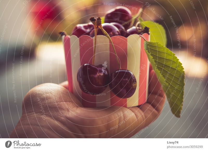 Cherries Food Fruit Cherry Nutrition Bowl Healthy Eating Parenting Hand Beautiful weather Diet Sweet Red Joy To enjoy Colour photo Exterior shot Close-up